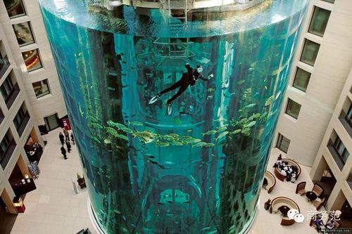 建在水下的电梯