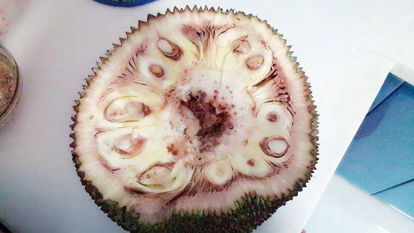 菠萝蜜切开来发现没熟缩略图