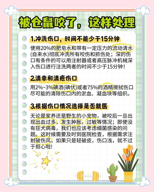 被仓鼠咬破皮有事吗