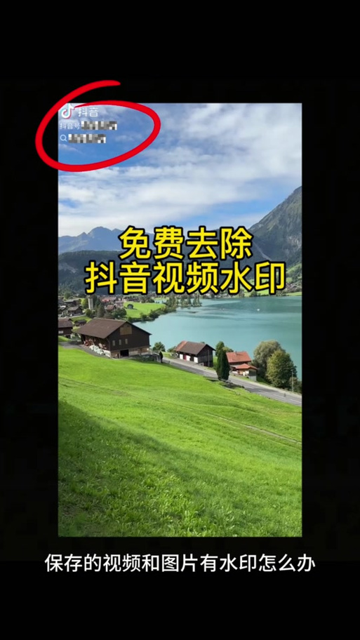 去水印轻抖