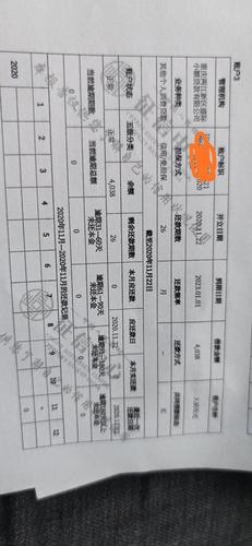 白条每次消费上征信吗图标