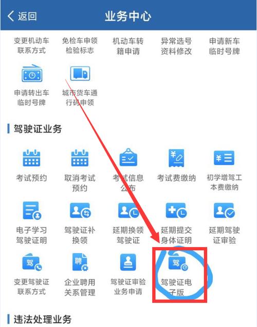 支付宝电子驾驶证可以用吗缩略图