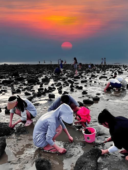 真实赶海视频缩略图