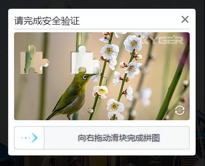 美团验证码给别人会有什么后果图标