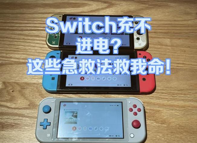 switch充了一晚上电充不进去图标