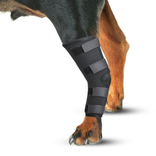猎犬全套护具