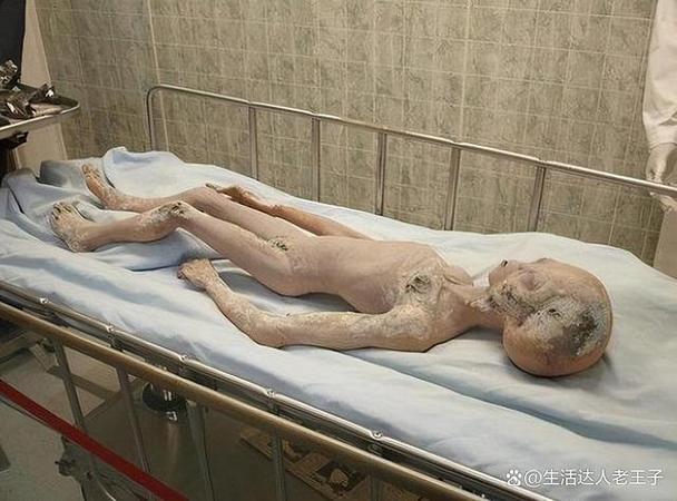 a4是a3的一半吗缩略图