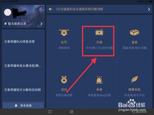 王者荣耀在哪里看充了多少钱图标