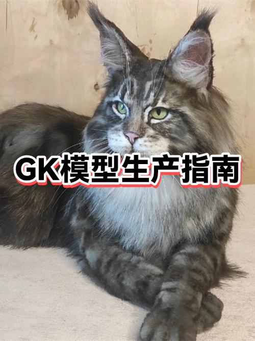 什么叫GK