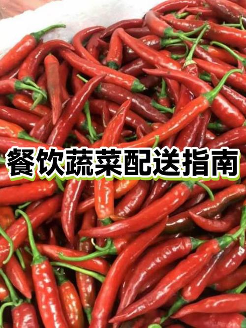 送菜是什么意思缩略图
