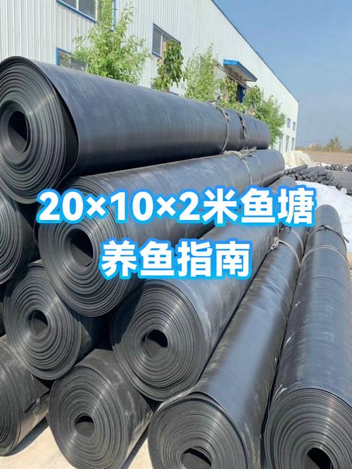 多多养鱼赚钱是真的吗缩略图