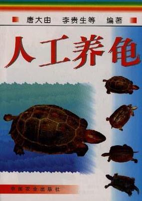 乌龟的正确养法