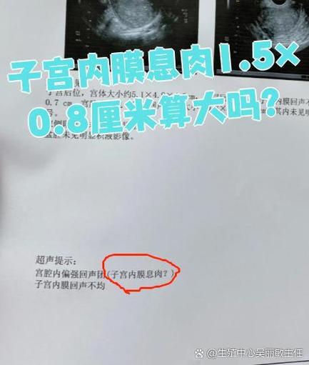 1.5×0.8游戏截图