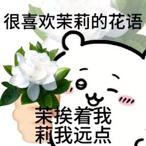 emoji花符号游戏截图