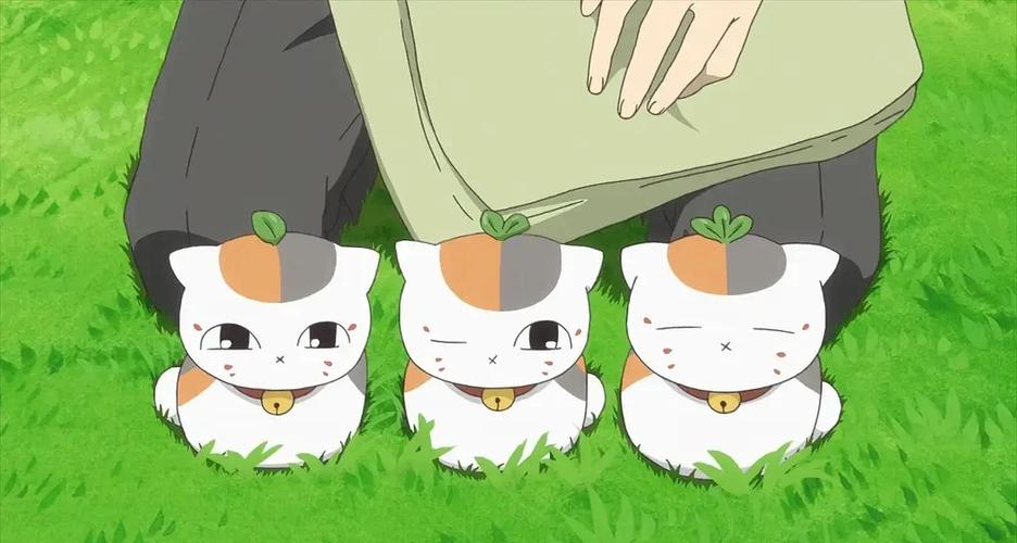 猫咪老师表情包缩略图