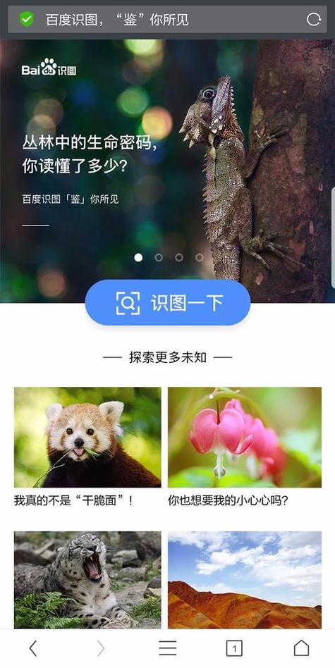 百度识图在线识图识别缩略图