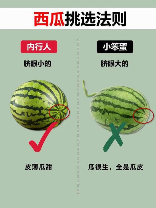 如何选西瓜的正确方法缩略图