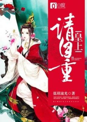 皇上请正经小说缩略图