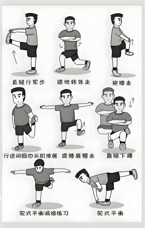 剑盾锻炼