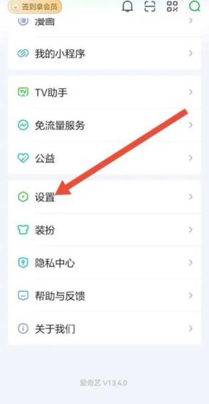 爱奇艺手机号注销了怎么更换手机号图标