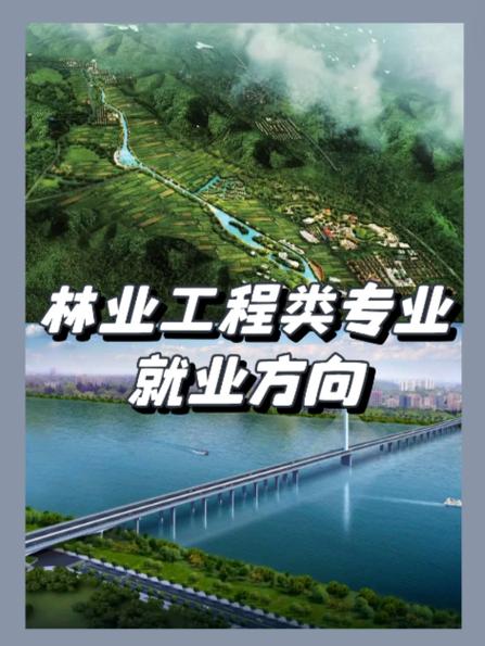 张雪峰谈林业专业就业前景图标