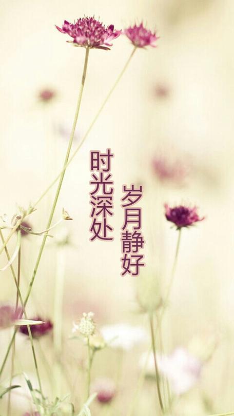 手机美图秀秀加时间缩略图