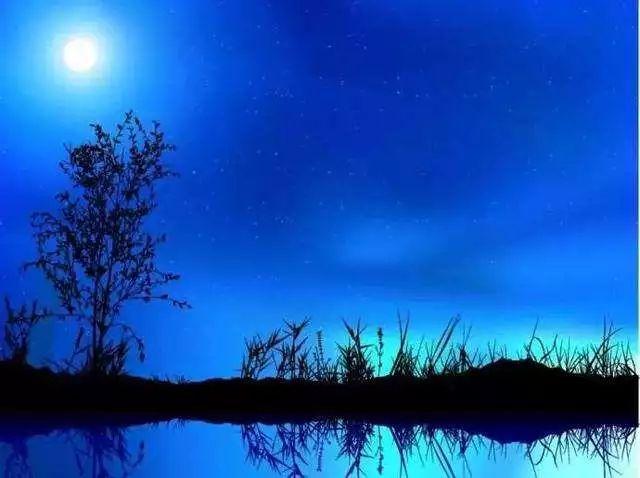 春月,夏月,秋月,冬月图标
