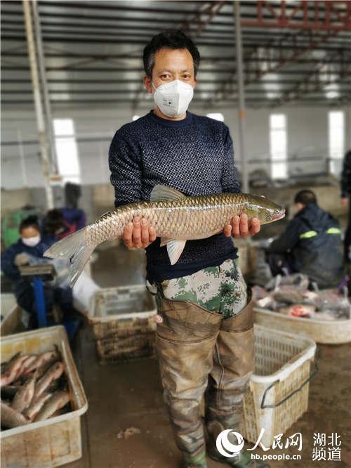 鱼杀完后能放多长时间