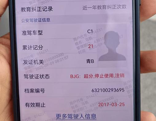 个人驾驶证信息查询游戏截图