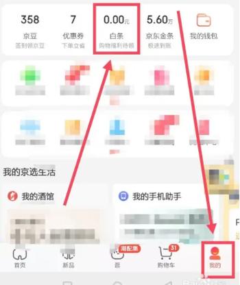 京东白条在哪里找到图标