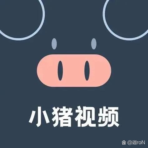 小猪视频免费版缩略图