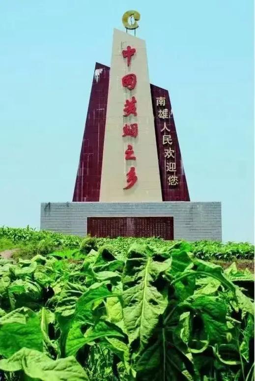 烟盒是黄颜色的烟图片