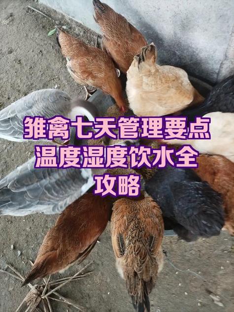 饮水机水开了是多少度