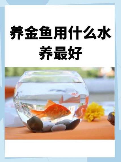 养金鱼的水要加盐吗图标
