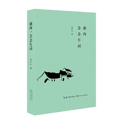 念念有词小说免费阅读缩略图