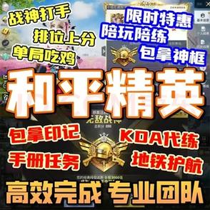 和平精英代打平台缩略图