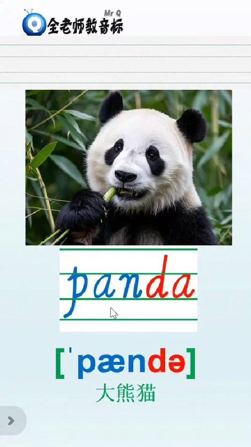 熊猫 panda游戏截图