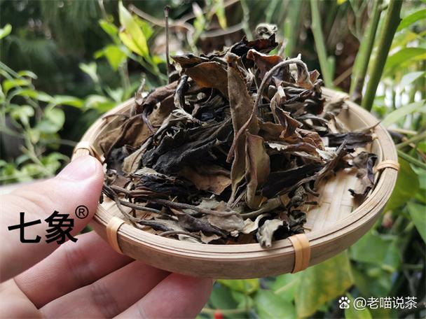 茶的来历简介图标