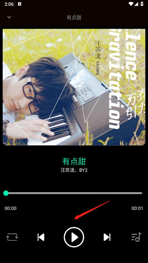 免费下载音乐软件全免费下载缩略图