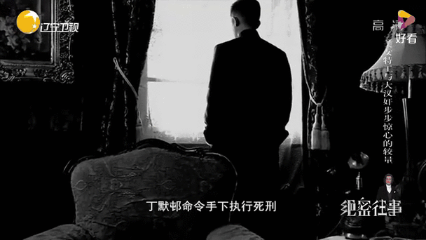 绝密往事一个日本军事间谍的覆灭图标