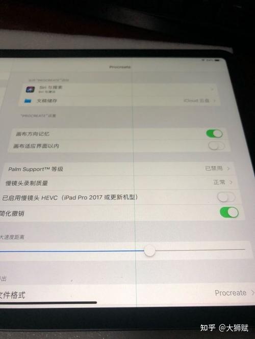 iPad屏幕出现条纹的常见原因