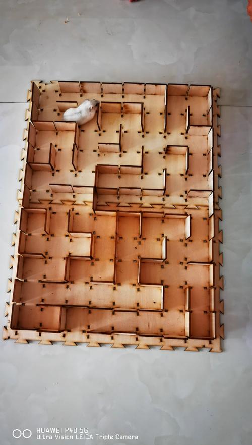 仓鼠迷宫手工制作