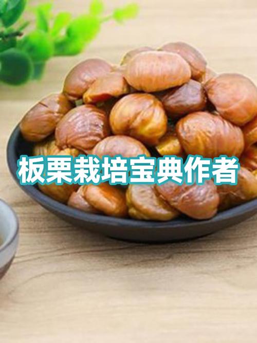 板栗短文阅读答案游戏截图