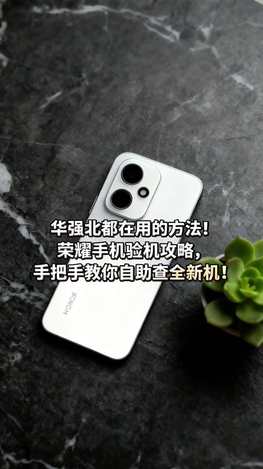 荣耀手机象素在哪里看图标