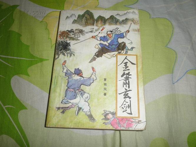 金萧玄剑夏雨风缩略图