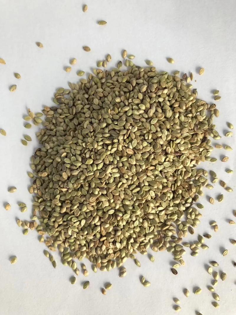 mc中的神级种子