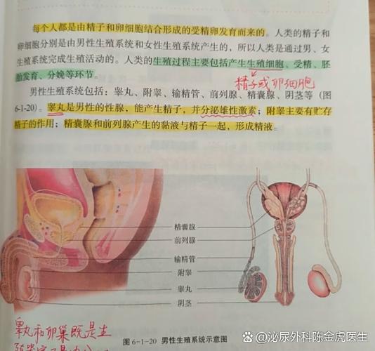 开局绑定精子系统的小说游戏截图