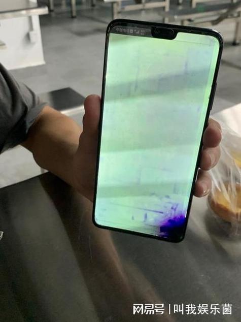 手机进水了还在保修期能保修吗游戏截图