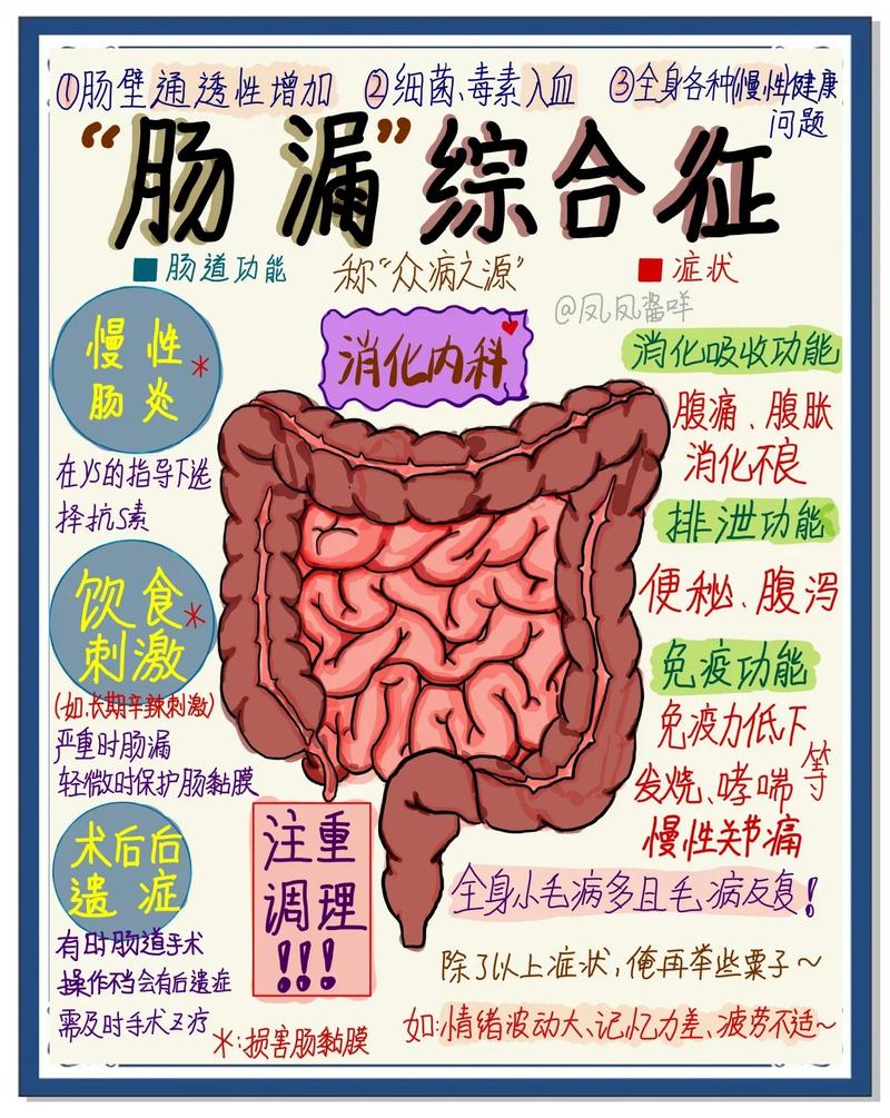 粪漏什么症状缩略图