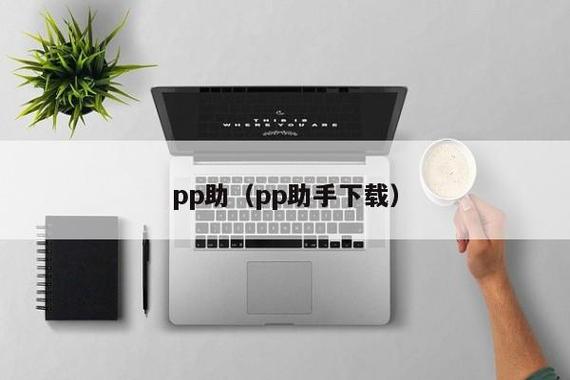 PP平台是干嘛的游戏截图